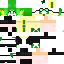 Texture for Alcedoちゃん