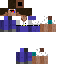 Texture for steve student