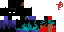 Texture for endersteve
