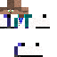 Texture for stevt