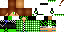 Texture for MagicShell