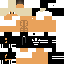 Texture for FEZI11