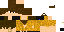 Texture for Poor Jcm