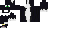 Texture for Cat blacko
