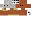 Texture for Slave