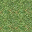 Texture for Grass