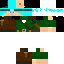 Texture for ROBIN HOOD