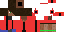 Texture for Char