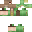Texture for turtle derp