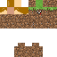 Texture for Dirpy Dirt
