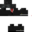 Texture for witer 2