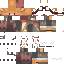 Texture for zorrito2
