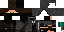 Texture for Ninja