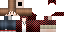 Texture for chromasome1