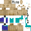 Texture for shady 2