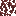 Texture for leaves swamp forest tree