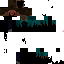 Texture for Haterd steve4