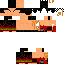 Texture for meenkup