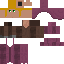Texture for priest