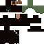 Texture for Ninja Villager