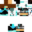 Texture for DSFD