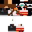 Texture for sadek