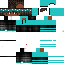 Texture for leo