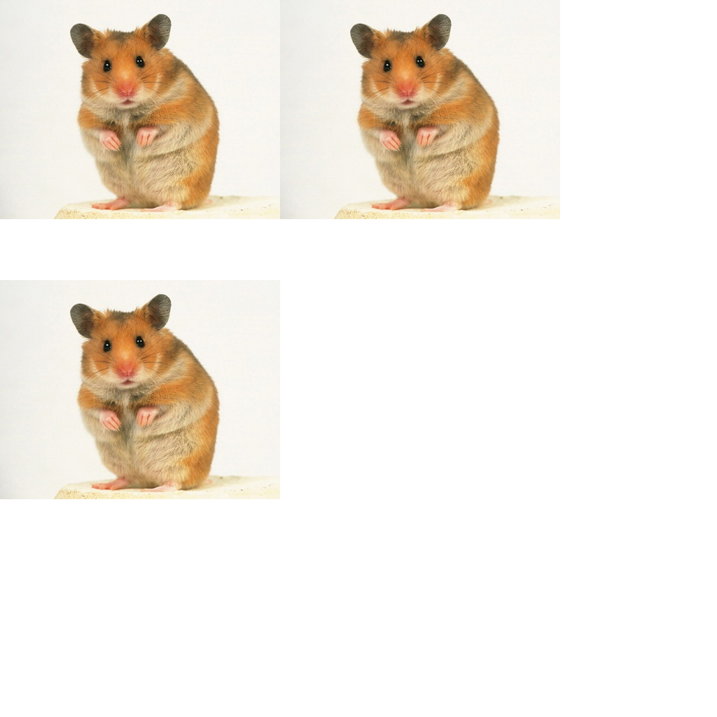 Texture for Trítl N T