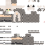 Texture for 29