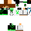 Texture for Hocok2016