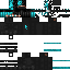 Texture for robin