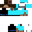 Texture for Skyfly5000
