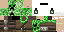 Texture for steve