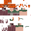 Texture for v2