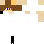 Texture for JoaoSPotter