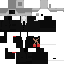 Texture for CAMERA