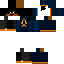 Texture for EnderkinGames