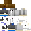 Texture for Ibot