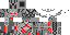 Texture for Megatron