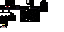 Texture for anomaly 23812