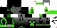 Texture for EnderTerminator