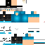 Texture for dsad