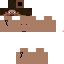 Texture for steve p·l···