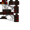 Texture for Illager