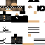 Texture for Steve