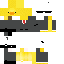 Texture for pato segurança
