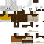 Texture for a9