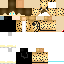 Texture for Cheetah