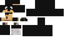 Texture for mini 1