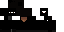 Texture for Ninja